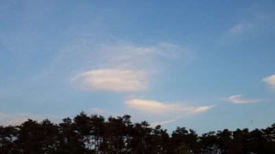 天使たちの空 シンパシー
