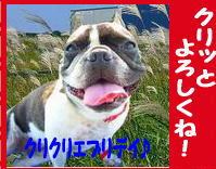 ¥Ý¥Á¥Ã¤È¤ª´ê¤¤¤·¤Þ¡¼¤¹¡ª