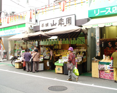 山年園