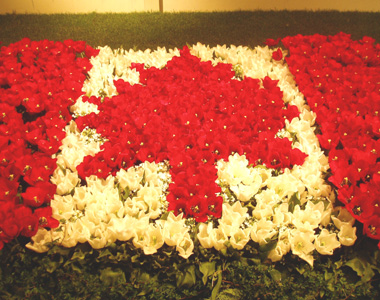 華 14