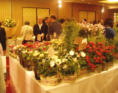 華 17