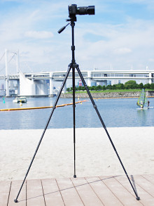 最長高は1,560mm