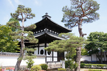 モミジの庭園が有名な東福寺