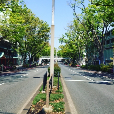 image1.jpeg