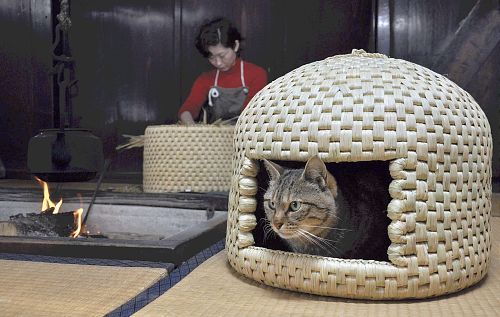 猫ちぐら1