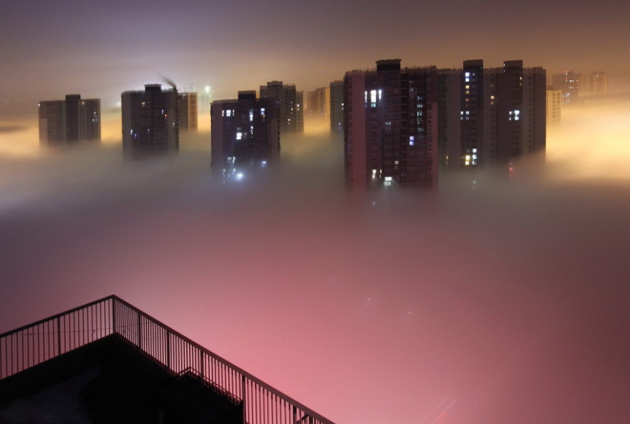 汚染2