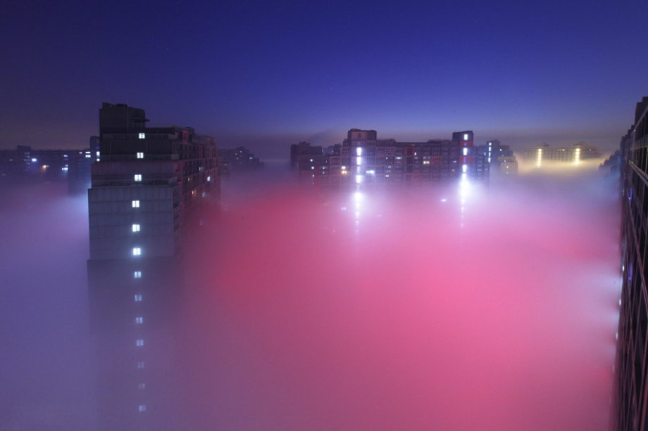 汚染4