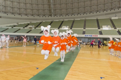 _MG_1087.JPG