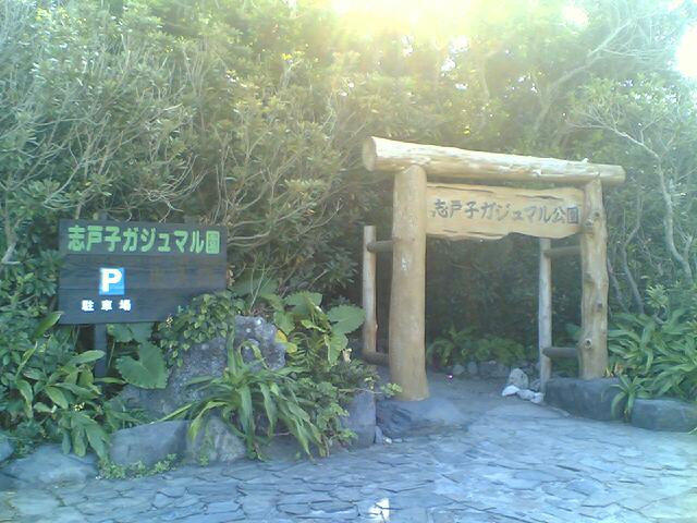 20061011_6162.jpg