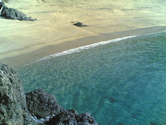 20061011_6205.jpg