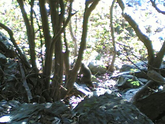 20061011_6216.jpg
