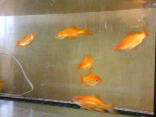 2012011112030000.jpg