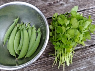 20190627_3581020.jpg