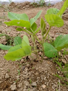 20190627_3581022.jpg