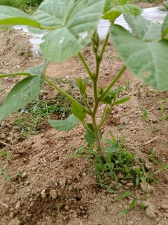 20190627_3581026.jpg