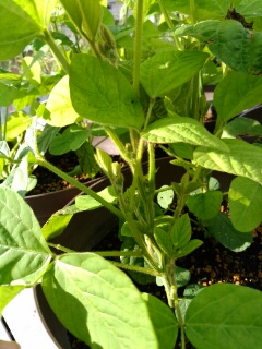20190627_3581034.jpg