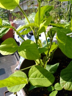 20190627_3581036.jpg