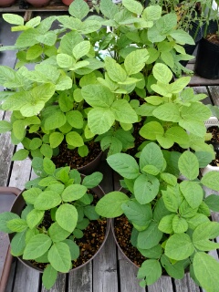 20190702_3584698.jpg