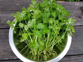 20190702_3584702.jpg