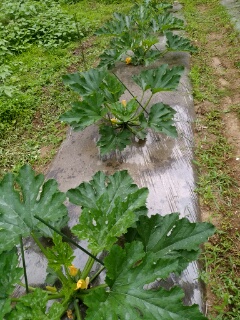 20190708_3588761.jpg