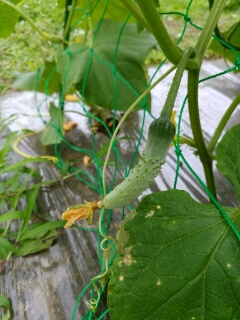 20190708_3588765.jpg