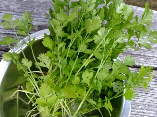 20190708_3588771.jpg