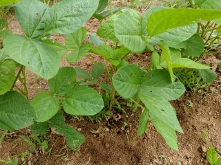 20190708_3588785.jpg