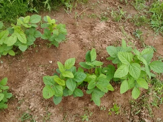 20190708_3588787.jpg