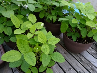 20190708_3588795.jpg
