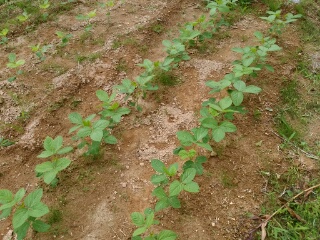 20190709_3590086.jpg