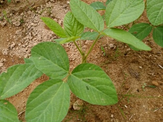 20190709_3590088.jpg