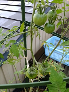 20190709_3590096.jpg
