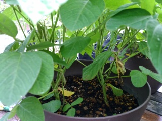 20190709_3590102.jpg