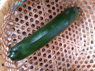 20190714_3593114.jpg