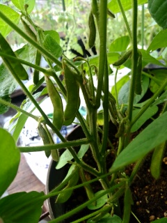 20190714_3593128.jpg