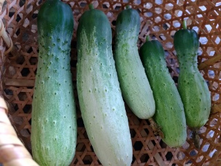 20190716_3594701.jpg