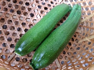 20190716_3594707.jpg