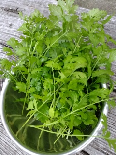 20190718_3596086.jpg