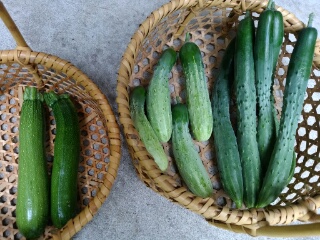 20190723_3598786.jpg