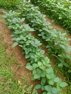 20190728_3601816.jpg