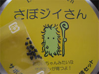 サボジイの種の様子