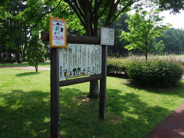 袖ヶ浦公園