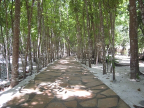 bohol