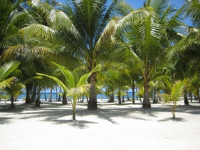bohol