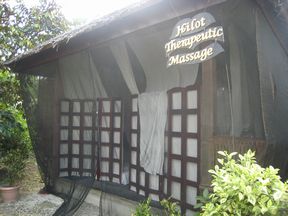 ALTA