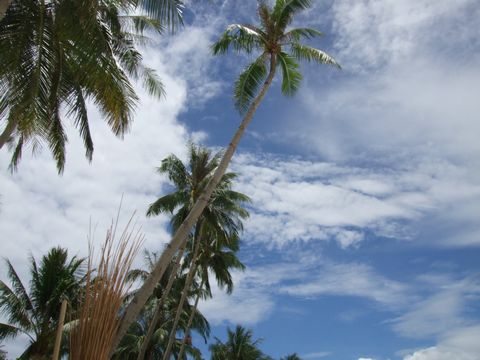 フィリピン ボラカイ島 旅行&観光