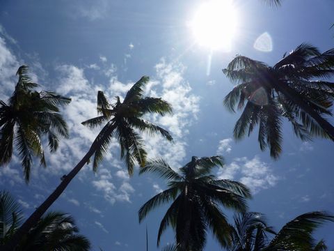 フィリピン ボホール島、パングラオ島 ホテル&ビーチ