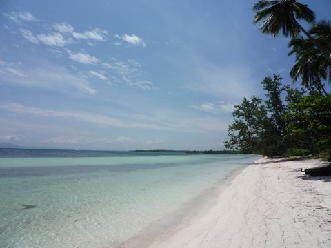 フィリピン ボホール島、パングラオ島 ホテル&ビーチ