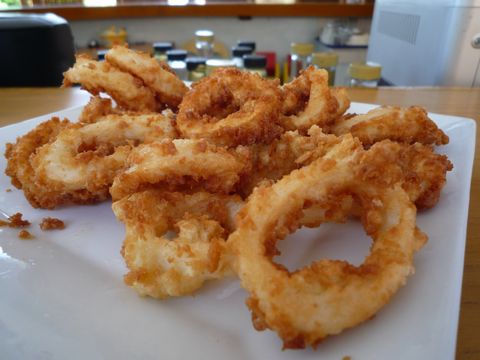 フィリピン ボホール島旅行&観光