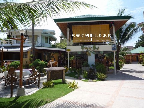 フィリピン ボホール島旅行&観光